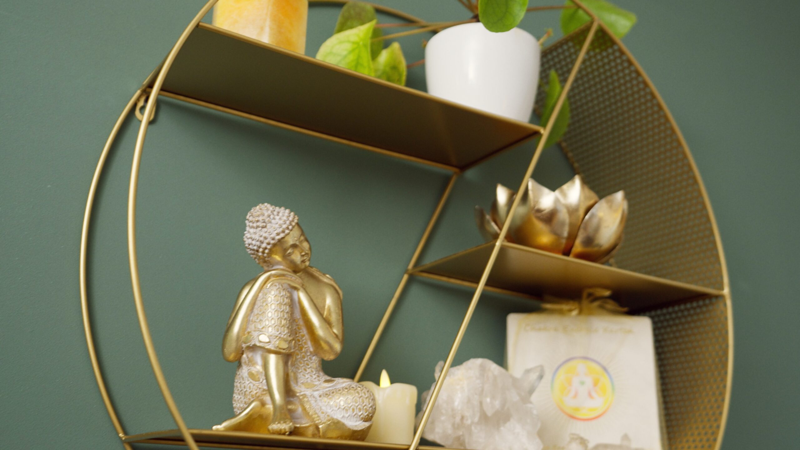 Still 2026-01-16 143633_2.1.1